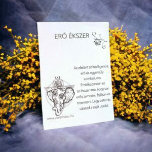 ERŐ AJÁNDÉKKÍSÉRŐ