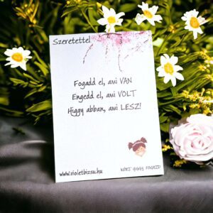 VÉDELMEZŐ AJÁNDÉKKÍSÉRŐ